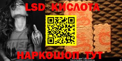 прущие грибы Кимры
