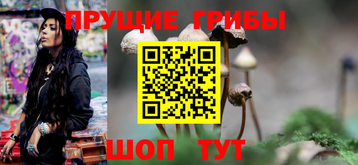 Нарьян-Мар  Псилоцибиновые грибы прущие грибы  Вход с VPN 